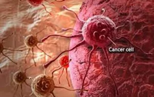 Read more about the article The Cancer and I Round 1